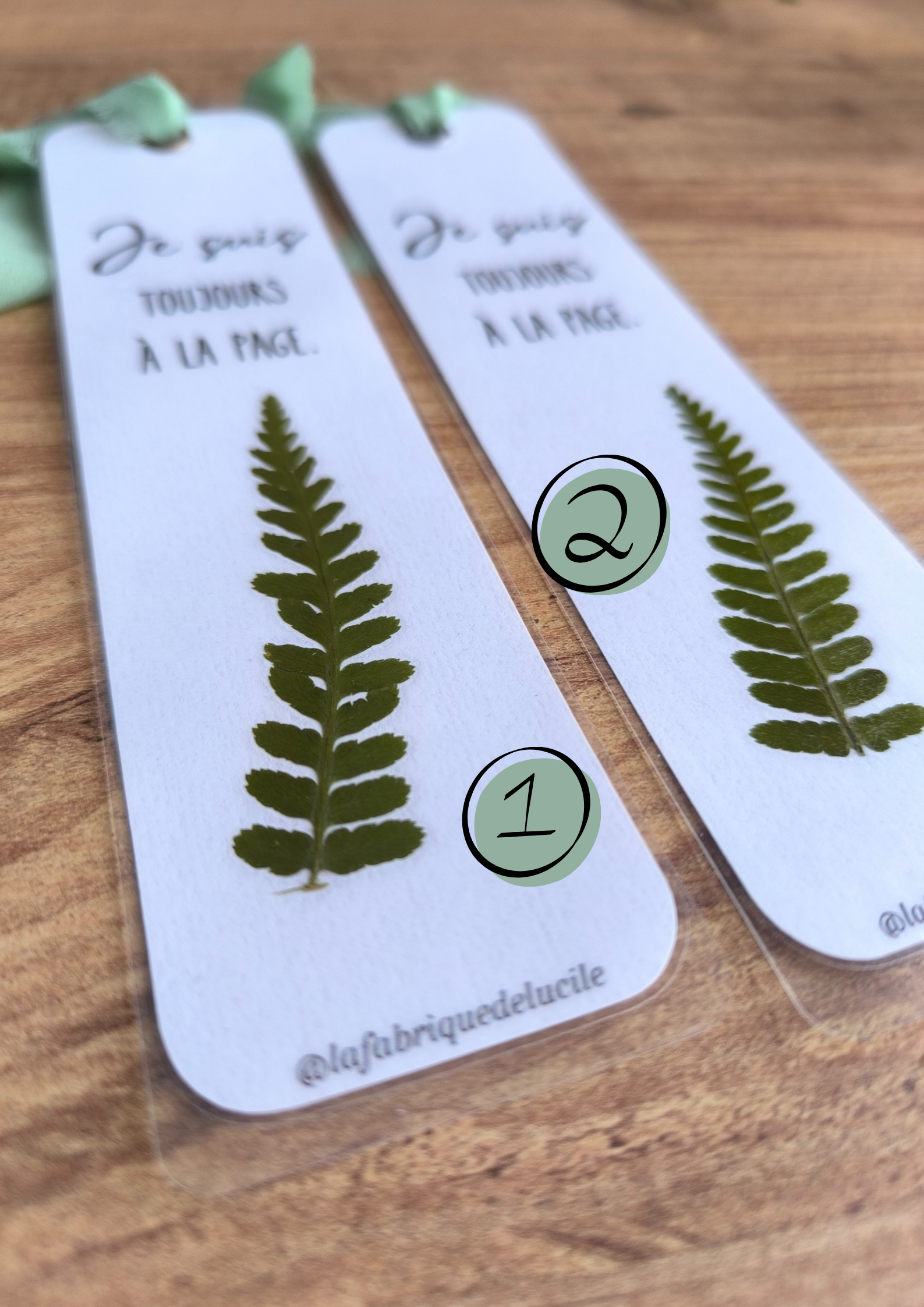 Marque pages - fougère