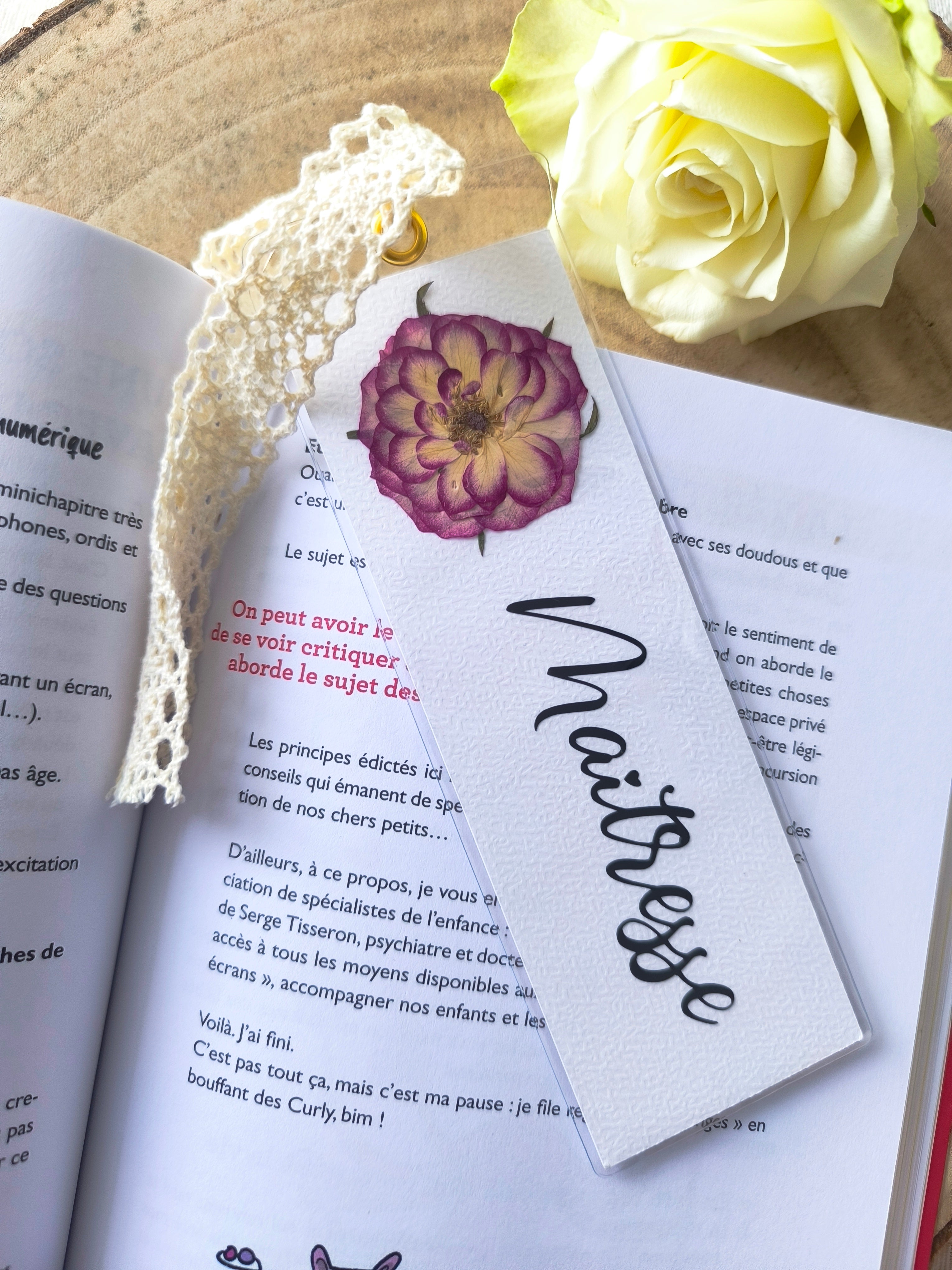 marque-page maîtresse nounou