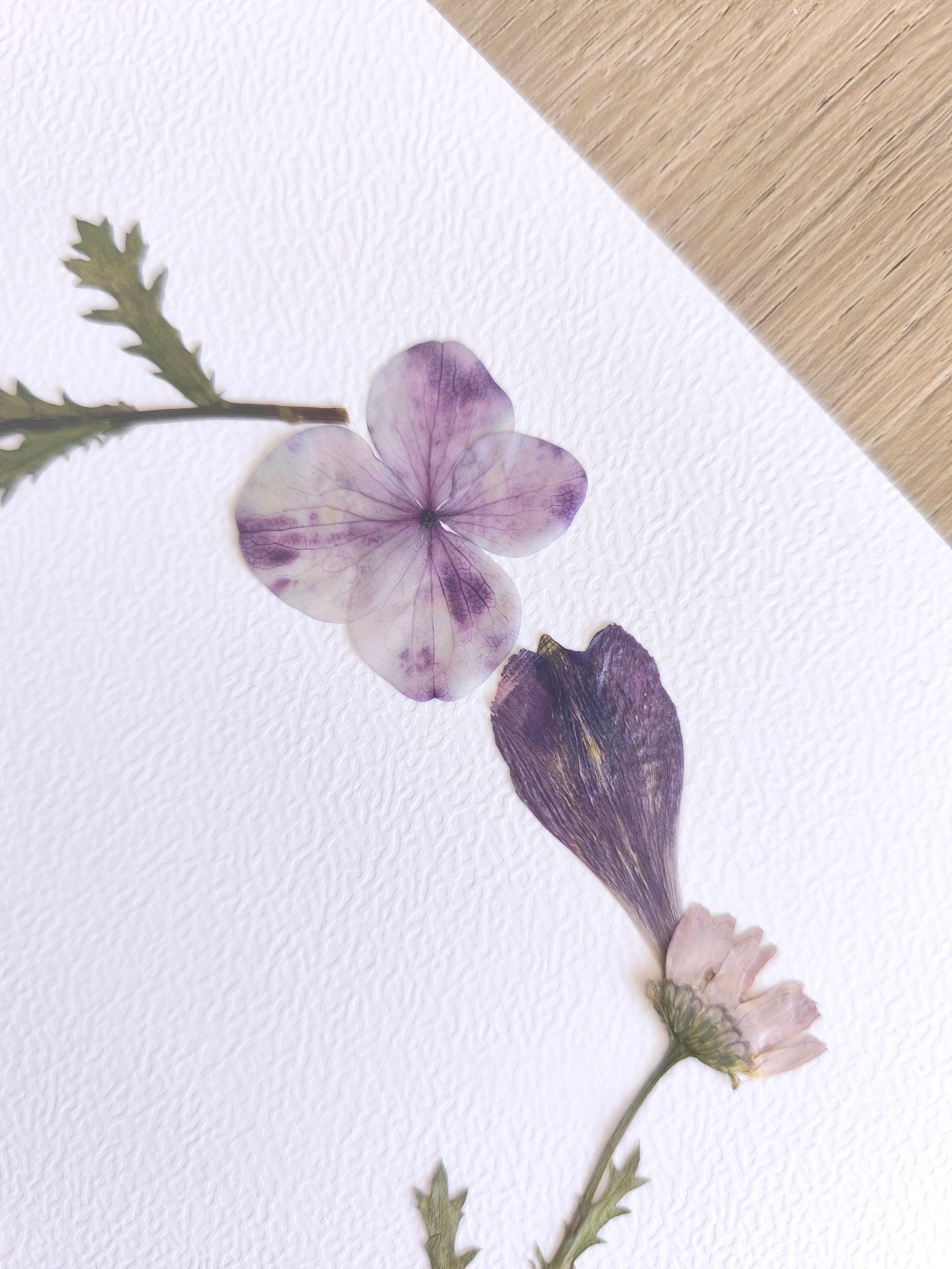 Herbier couronne - Lys des incas et hortensia