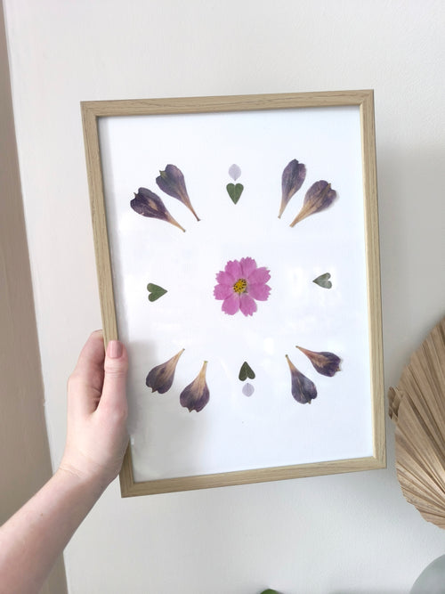 Herbier  - Lys des incas et cosmos