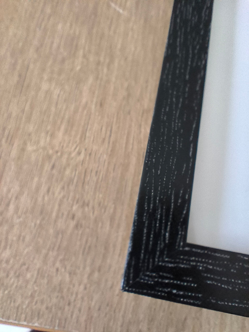 Herbier pétales Gerbera