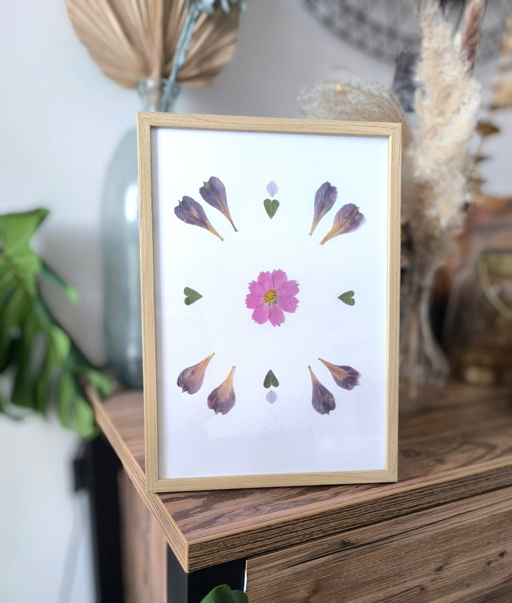 Herbier  - Lys des incas et cosmos