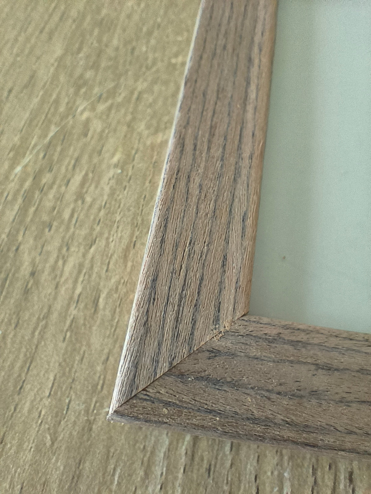 Herbier - Mauve des bois