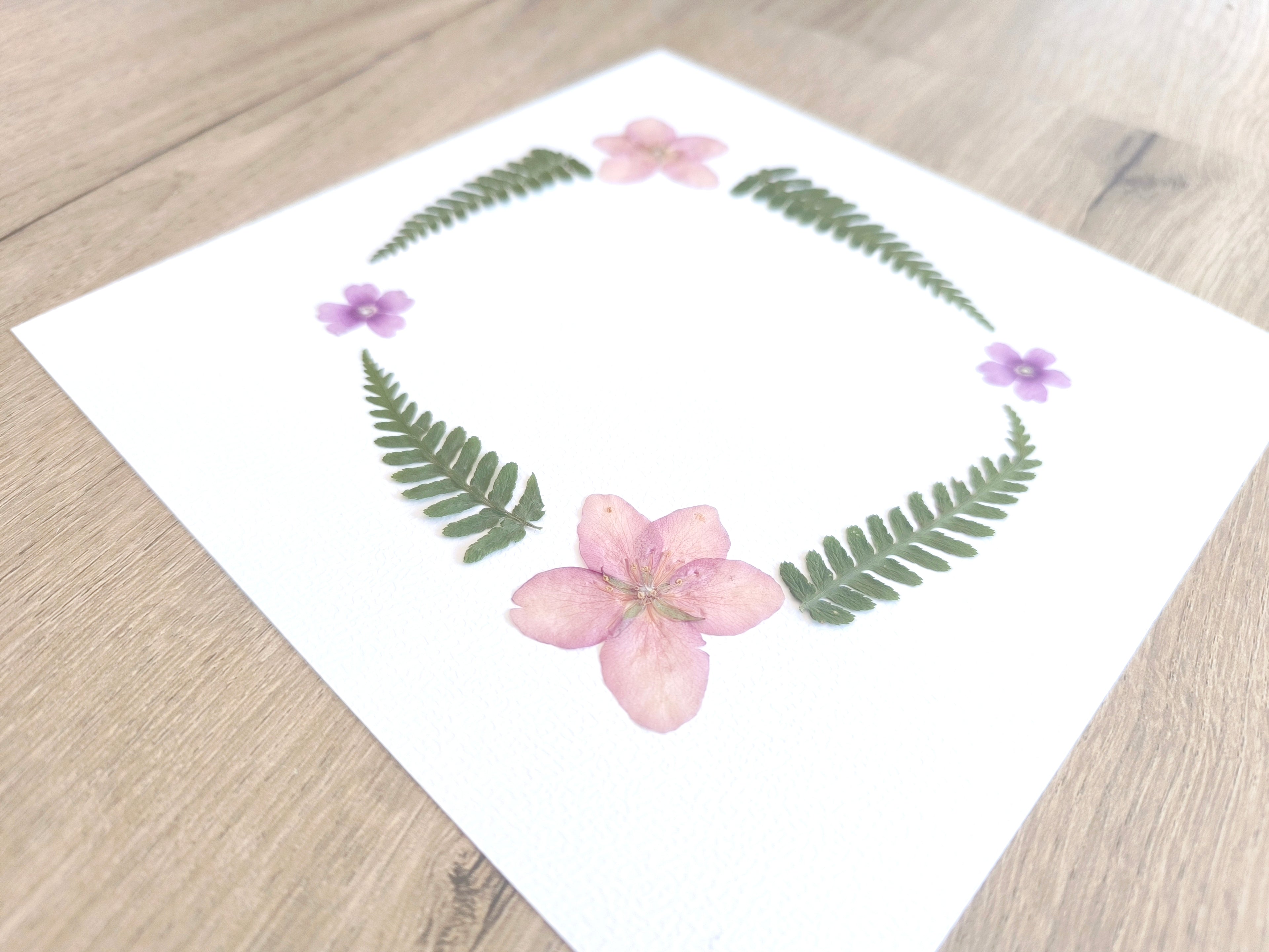 Herbier couronne - Fougères