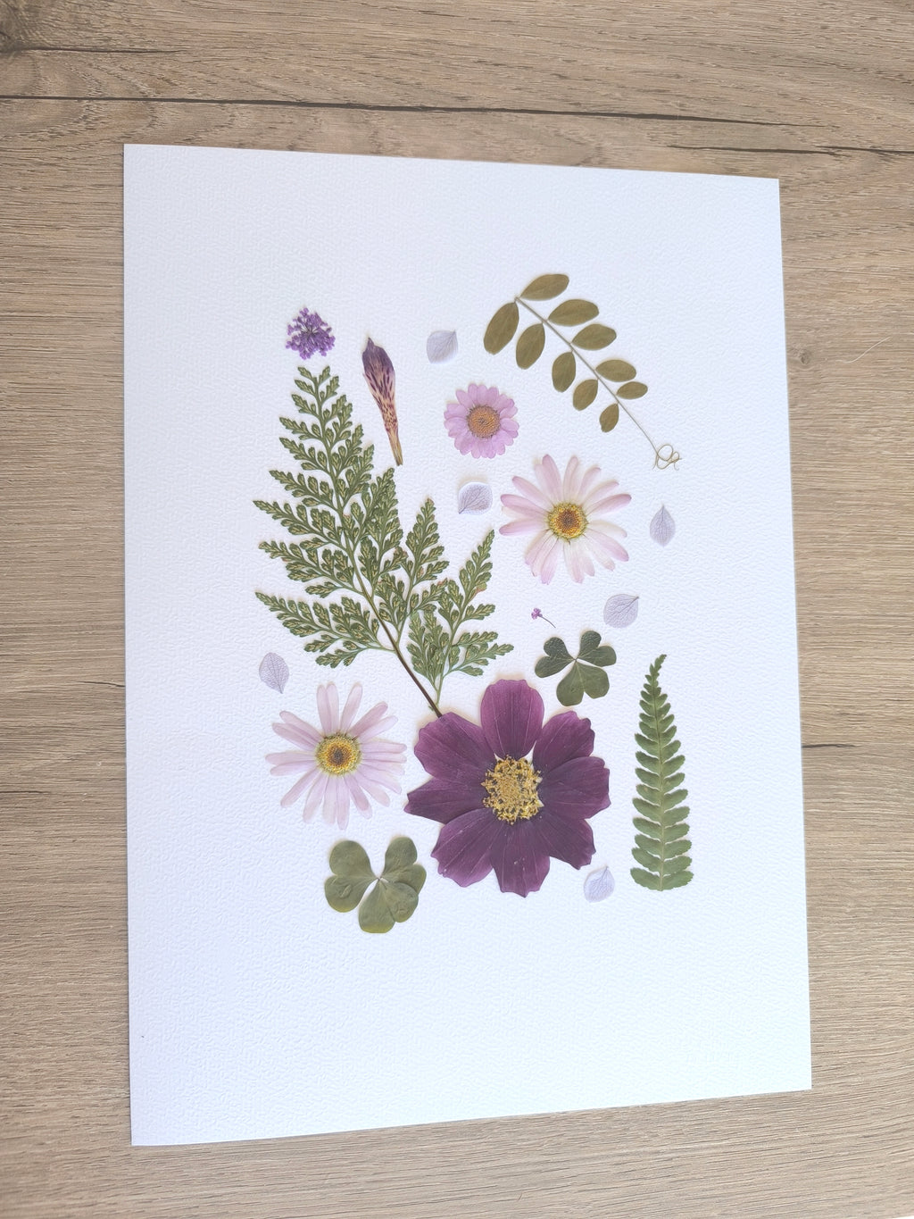 Herbier - Fougère, fleurs de cerisier & verveine