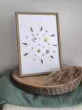 Mandala soleil