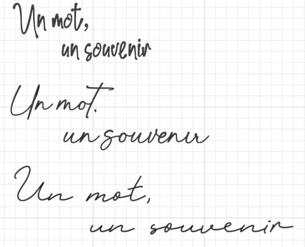 Stickers Urne - Avion Cœur Merci – Image 6