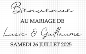 Stickers - Panneau bienvenue miroir – Image 3