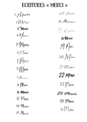 Stickers Urne - Avion Cœur – Image 9