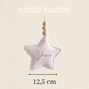 Étoile velours noël – Image 10