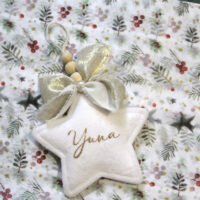 Étoile velours noël