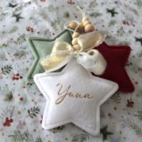 Étoile velours noël